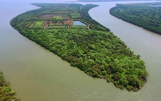 Wisata Jatim: Cara ke Pulau Lusi Sidoarjo, Rute Perahu, Tiket, dan Penginapan