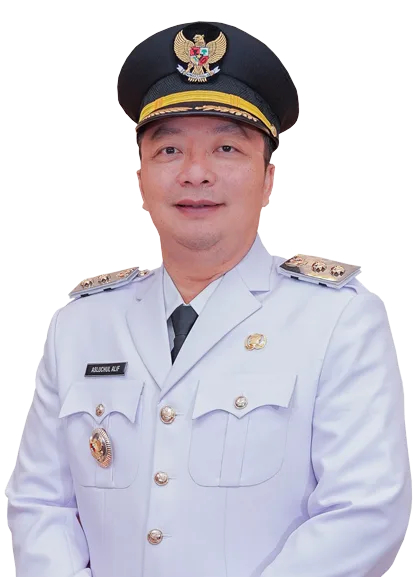dr. H. ASLUCHUL ALIF, M.Kes., M.M., M.H.P.