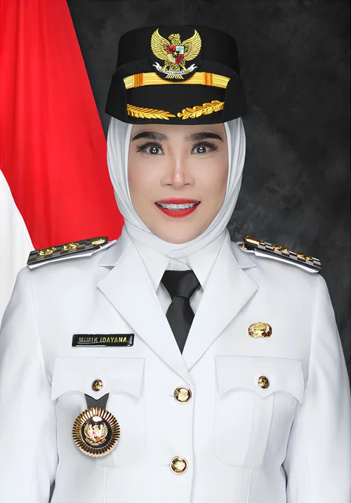 MIMIK IDAYANA, S.AP.