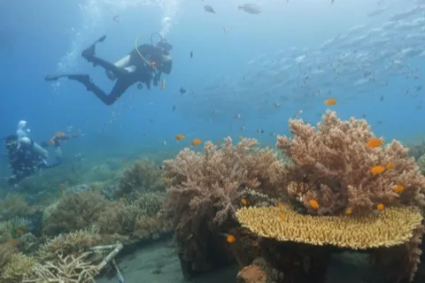 Angkutan Wisata Gratis Banyuwangi Punya 13 Rute, Begini Cara Jadwal Keberangkatannya