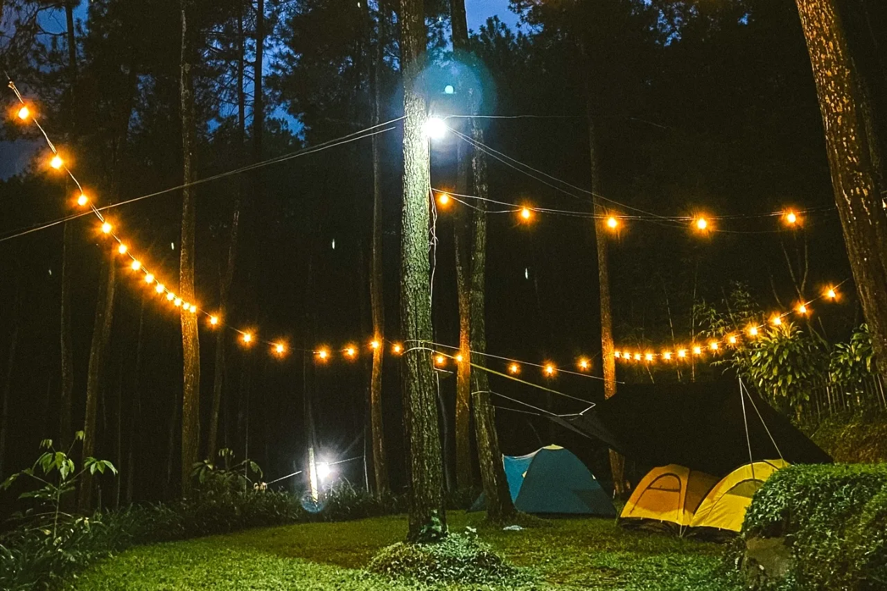 Wisata Jatim: Camping di Alas Pinggan Prigen, Ini Harga Tiket dan Sewa Peralatannya