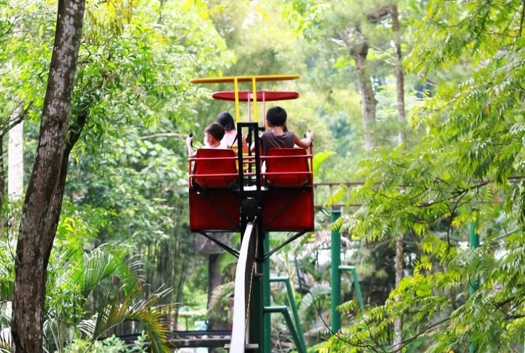 Serasa Masuk ke Alam Liar! Ini Daya Tarik Taman Safari Prigen yang Bikin Penasaran