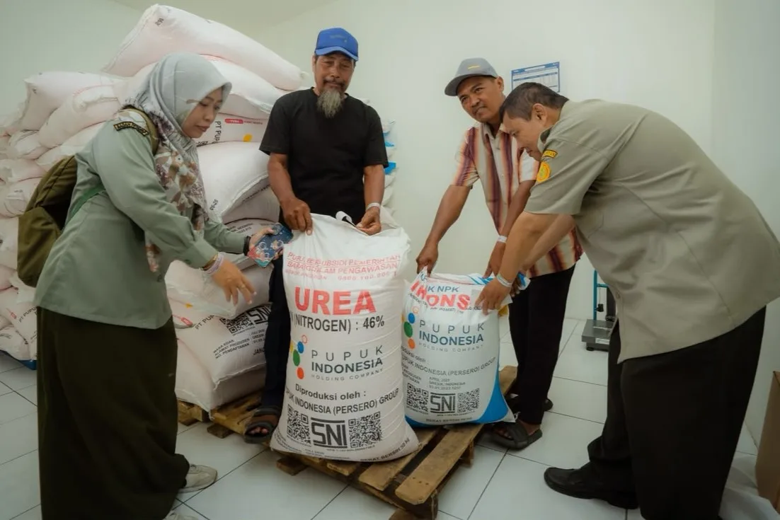 Petani Sidoarjo Tebus Pupuk Bersubsidi di KDKMP, Lebih Mudah dan Harga Sesuai HET