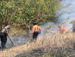 3 Hektar di Trenggalek Hutan Jadi Abu