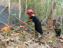 Awas, Kemungkinan Bisa Bertambah. Tiga Bulan Terakhir Lebih 10 Kali Laporan Karhutla di Trenggalek