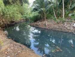 Sejak 2020 Lalu, Limbah Tambak Udang di Sekitar Pantai Blado, Munjungan Trenggalek Akibatkan Pencemaran Lingkungan