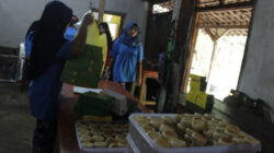 Komidag Dorong UMKM Masuk Dapur MBG, Omzet Pelaku Usaha di Trenggalek Terdongkrak